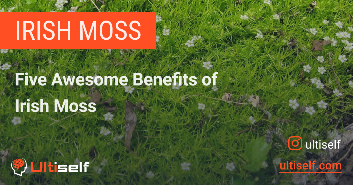 Moss Rate How Irish Moss Can Improve Your Life | Ultiself Habits